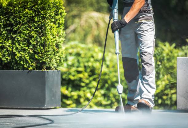 Best Driveway Pressure Washing  in Shelton, NE